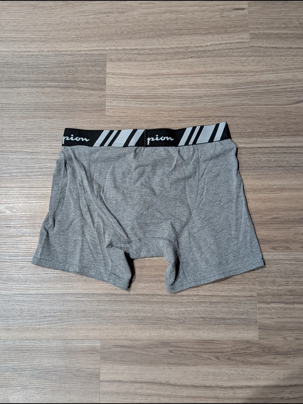 Champion Men’s Grey Performance Boxer Briefs
